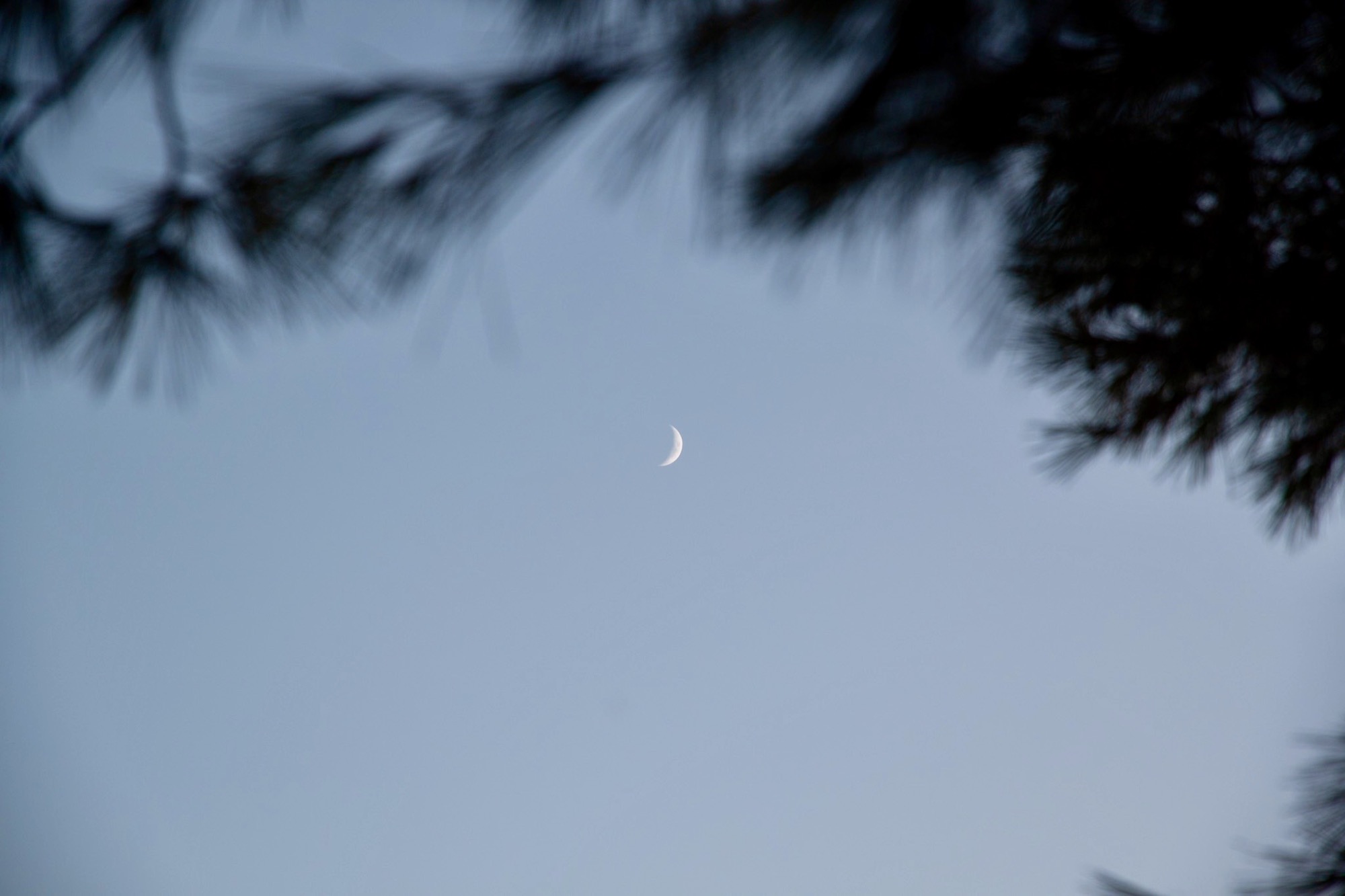 Photography by Caspar — 19