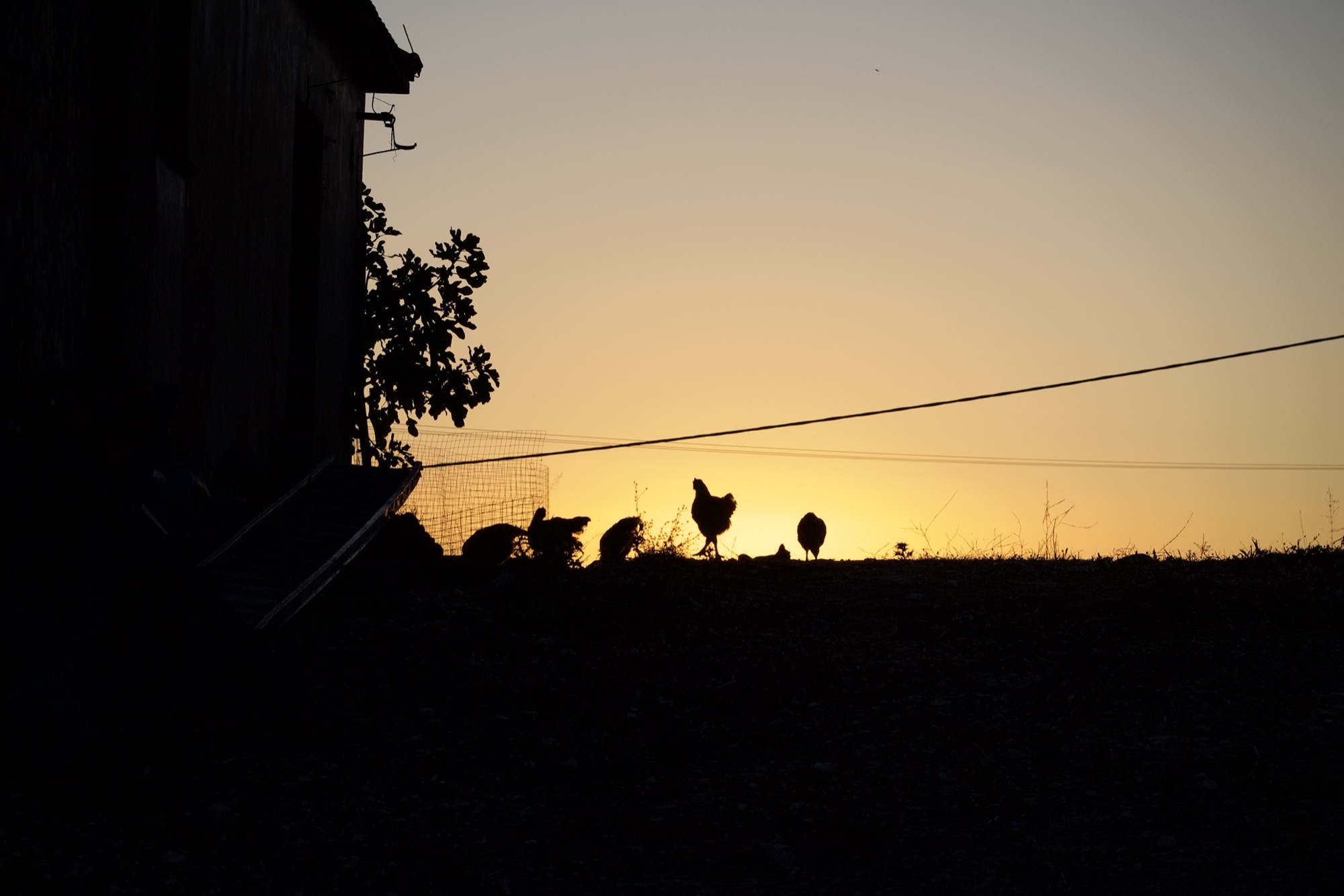 Photography by Caspar — 13