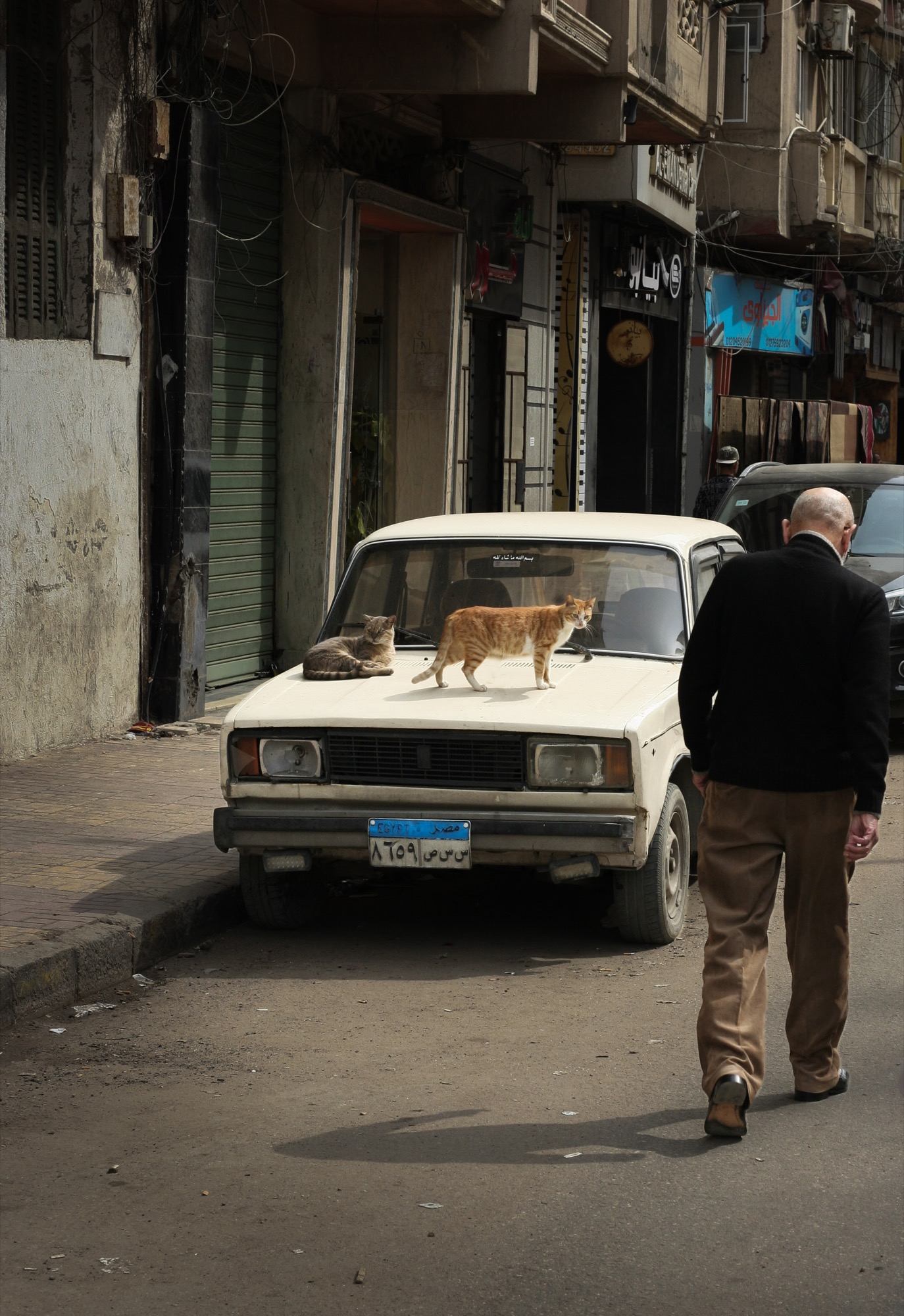 Egypt by Joseph — 12