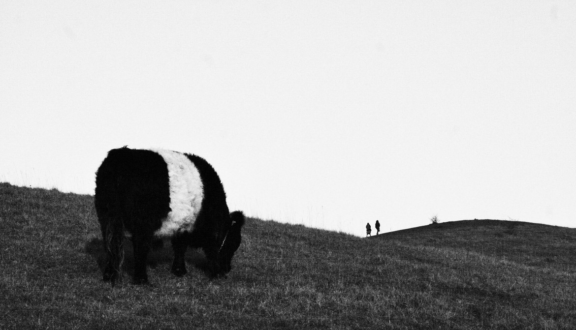 Scapes — B&W by Joseph — 02