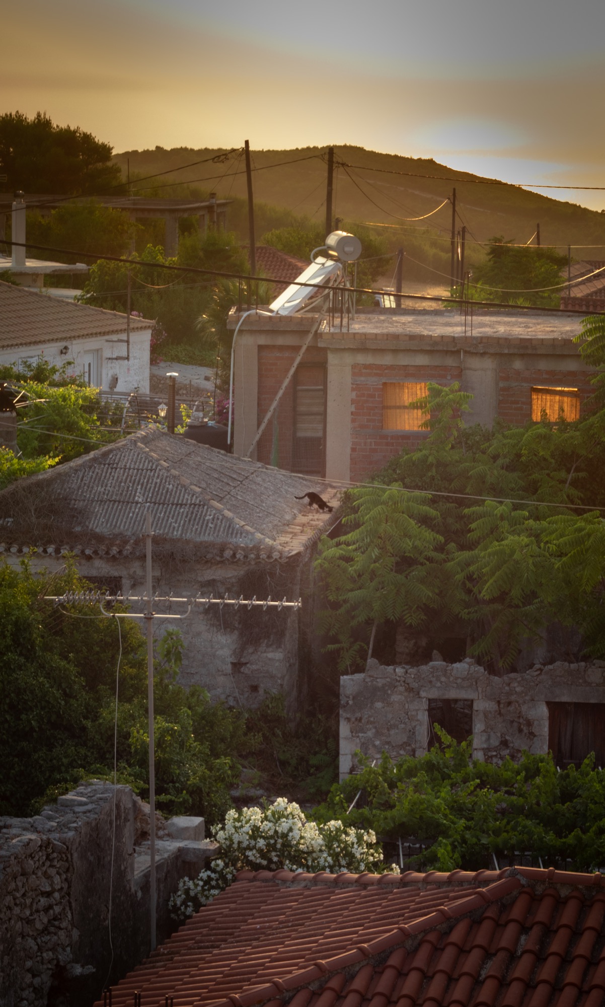 City Streets — Zakynthos by Oscar — 01